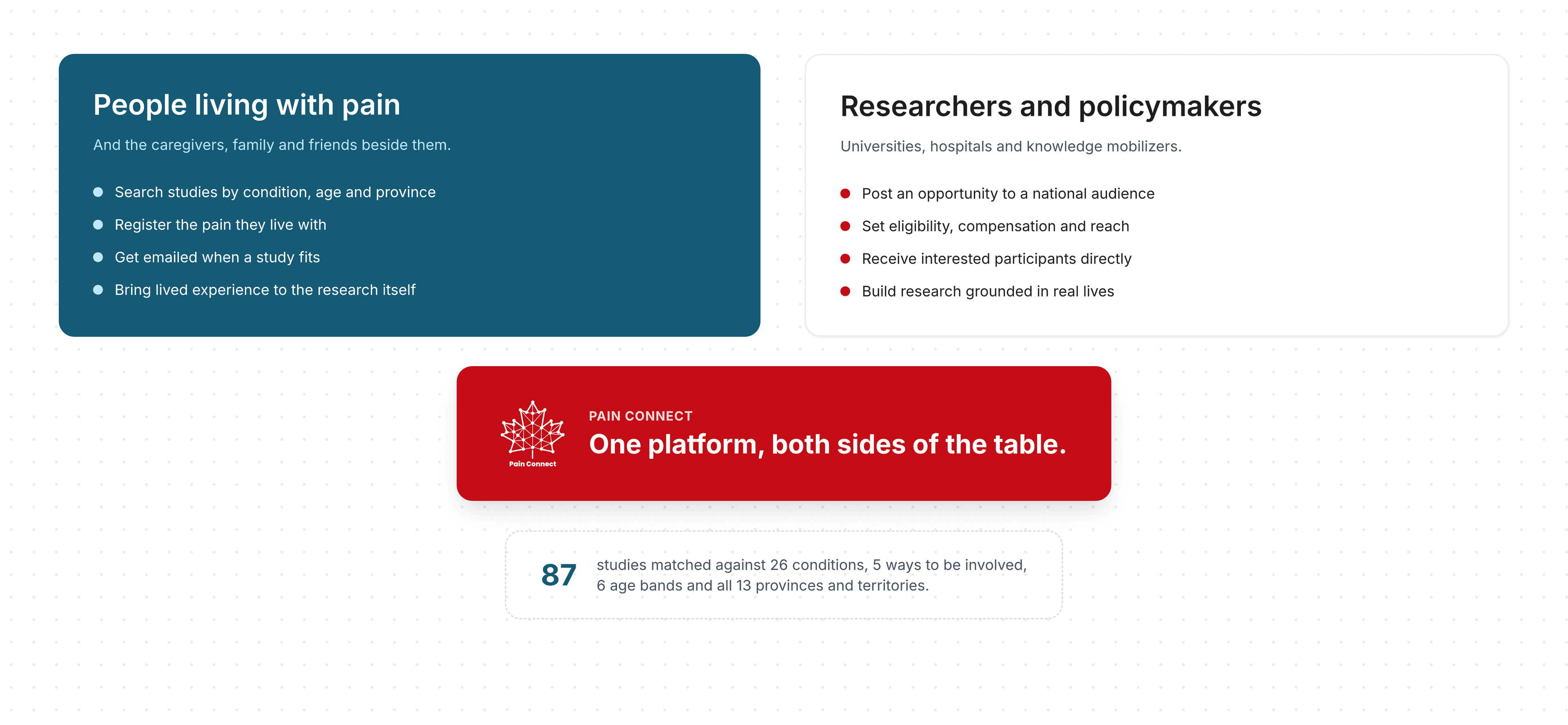 The two-sided platform: people living with pain on one side, researchers and policymakers on the other