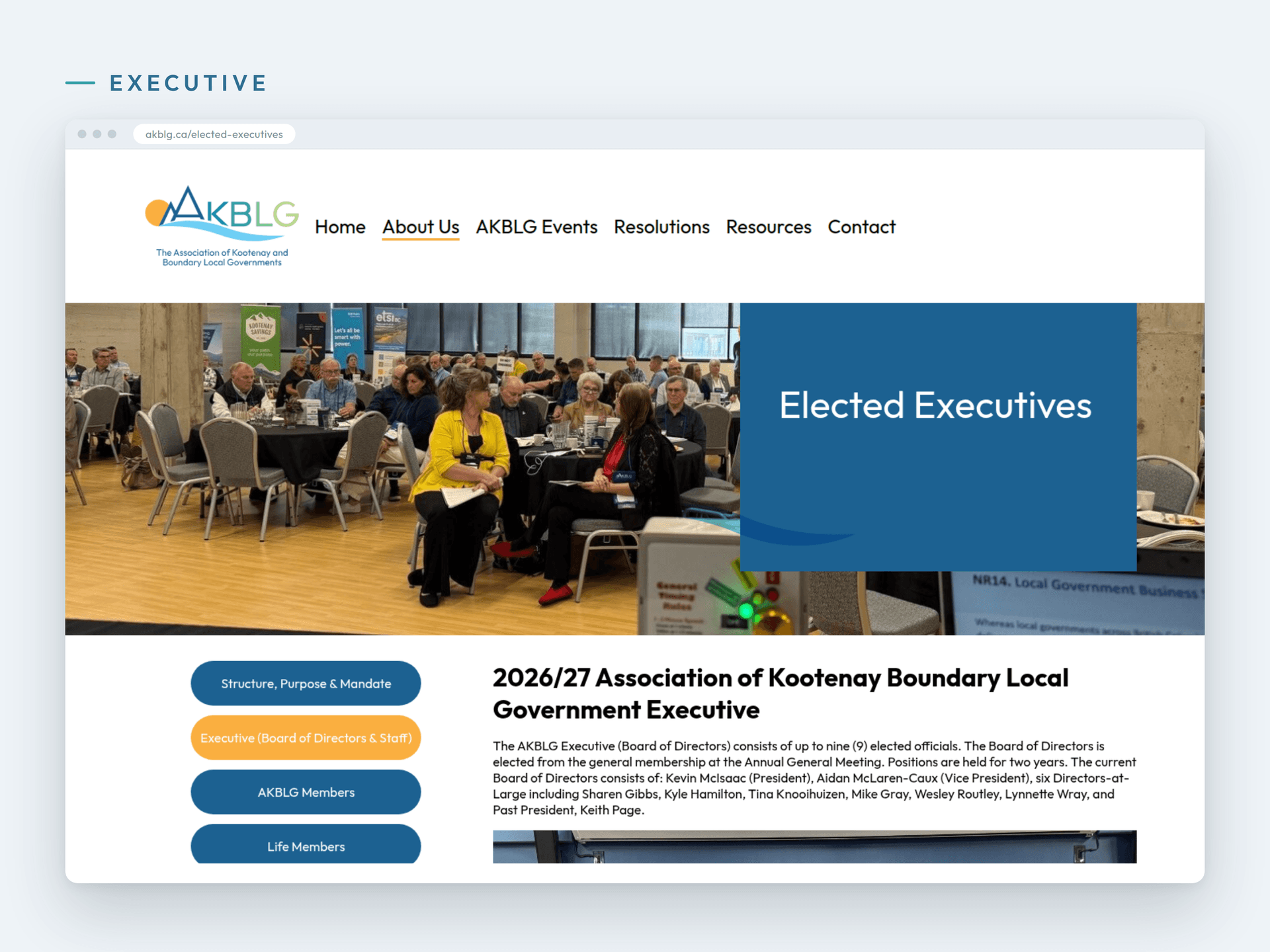 The elected executive and board of directors